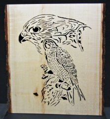 falcon 1.jpg