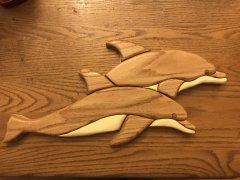 Dolphins.jpeg