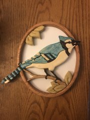 Bluejay.jpeg