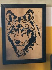 Wolf.JPG
