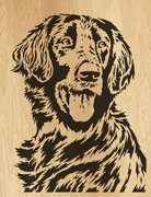 115--retriever