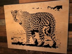 IMG_4359RS.jpg
