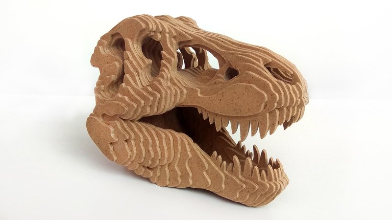 C58-dino skull