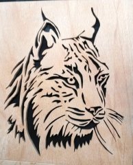 BobCat.jpg