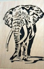 Elephant1.jpg