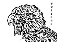 eagledl.jpg