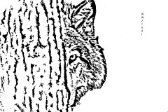 wolftree.jpg