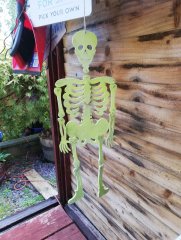 glow in the dark skeleton.jpg