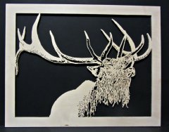 elk 2.jpg