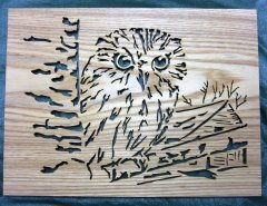 IMG_5506 (2).JPG