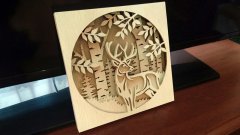 C71-deer