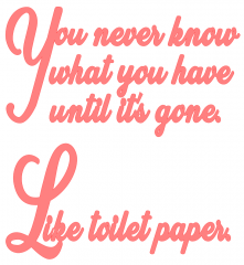 You_Never_Know_What_You_Have_Until_It's_Gone.png