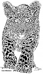 little jaguar