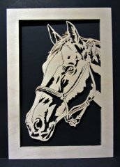Horse.jpg