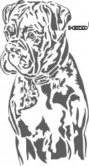 BOXER DOG HNpath173 copy_pe.jpg