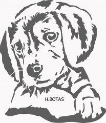 PUPPY path264 copy_pe.jpg