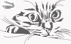 CATpath26 copy_pe.jpg