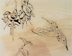 Hummingbird 2.jpg