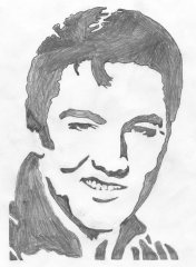 elvis pattern reduced.jpg