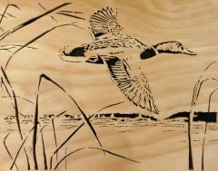 Mallard in flight woodcut.jpg