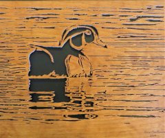 Wood Duck from Jesse DuBois photo 3.jpg