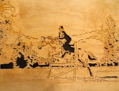 Horse Jumping (6).JPG