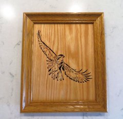 Hawk2.jpg