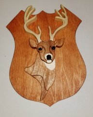 deer-1.jpg