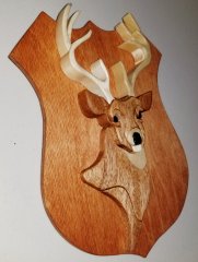 deer-3.jpg