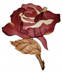 rose-1.jpg