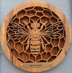 Bee on a Comb