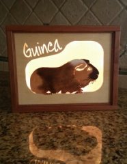 Guinea - lighted.jpg