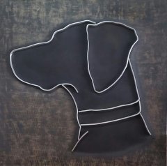 Black Labrador Retriever-20190912_100406-1-1.jpg