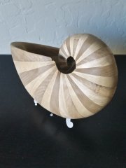 Shell-20190424_155902.jpg