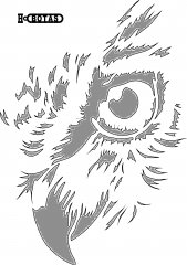 OWL EYE path48 cXXopy_pe - Copy.jpg
