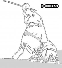ELEPHANT 2path146 cZopy_pe.jpg