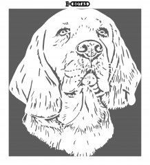 DOG NMpath122 copy_pe.jpg