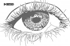 EYE path78 copy_pe.jpg
