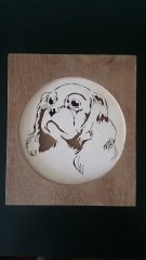 King Charles Cavalier.jpg