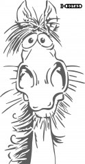 HORSE FUNpath146 copy_pe.jpg