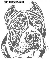 DOG LKpath242 copy_pe.jpg
