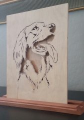 Golden Retriever.jpg