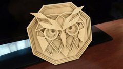 C95-owl