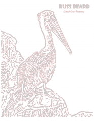 Pelican