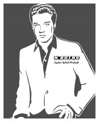 ELVIS BB296 copy_pe.jpg