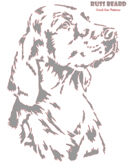 Irish Setter
