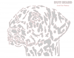 Dalmatian