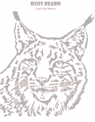 Lynx