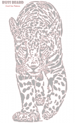 Leopard 3