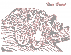 Leopard 4